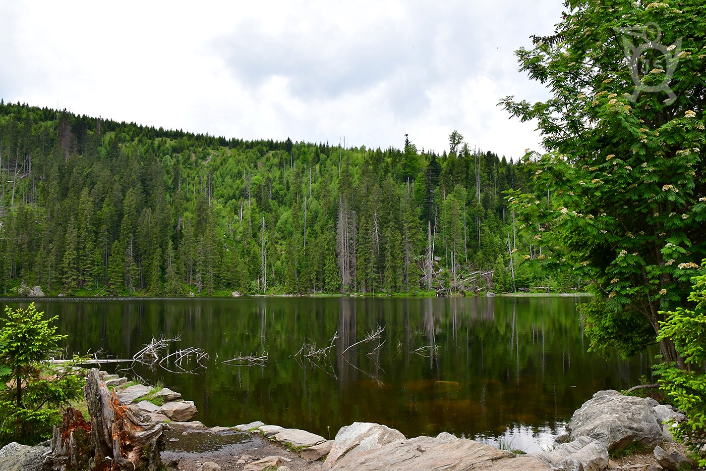 PRÁŠILSKÉ JEZERO